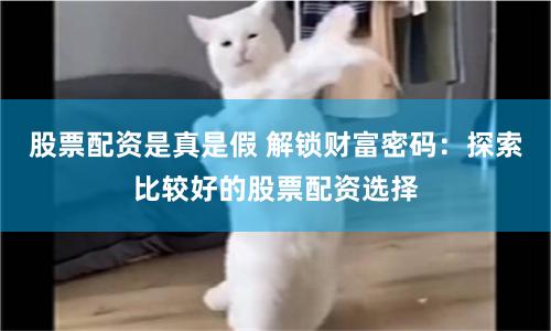 股票配資是真是假 解鎖財富密碼：探索比較好的股票配資選擇