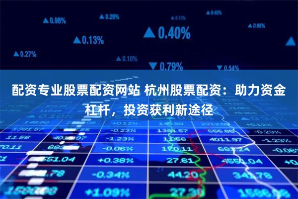 配資專業股票配資網站 杭州股票配資：助力資金杠桿，投資獲利新途徑