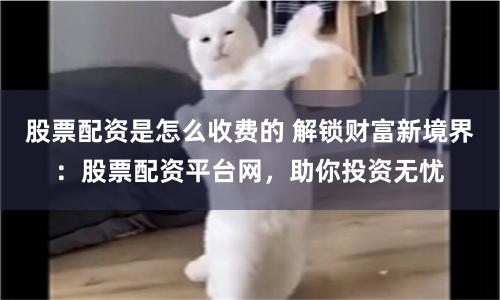 股票配資是怎么收費的 解鎖財富新境界：股票配資平臺網，助你投資無憂